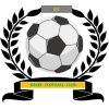 https://img.dtysmm.com/img/football/team/6dc6d59af2f0962597b412473a6708ee.png